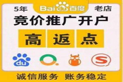 网络推广与竞价优化成功案例